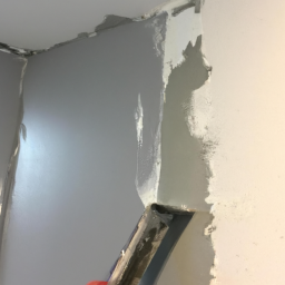 Peinture de Muret Extérieur: Personnalisation et Protection Trets